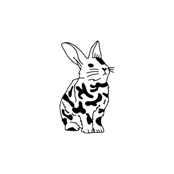 兔子的病媒图解 矢量图形