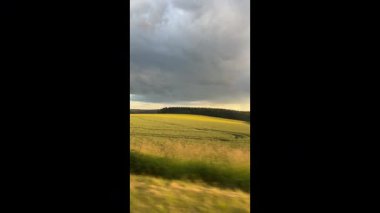 Canlı bir altın-yeşil alan hareketle bulanıklaşır, dramatik, bulutlu bir gökyüzü altında karanlık bir orman hattına doğru uzanır, kırsal bir bölgede hız ve hareket hissi verir..