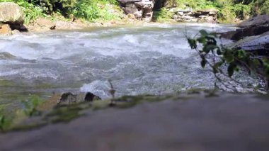 Güçlü beyaz akıntılar ve sıçramalar ile hızlı hareket eden bir nehrin geniş bir görüntüsü kayalar ve yemyeşil yeşil arasında alçak bir açıdan görülüyor..