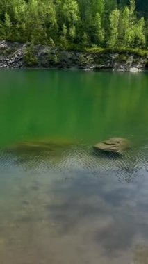 Suya batmış kayaları ve kıyıda yemyeşil bir ormanı olan sakin yeşil göl, Almanya 'nın Saksonya bölgesinin güzel Vogtland bölgesinde ele geçirildi..