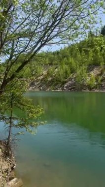 Almanya 'nın Saksonya bölgesindeki temiz gökyüzünü yansıtan, ağaç dallarıyla çevrelenmiş kayalık, ormanlarla çevrili, sakin, yeşil bir göl..
