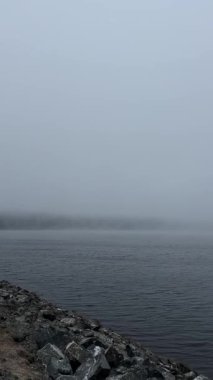 Uzak ormanlık bir kıyı şeridi ve kayalık ön planı olan sakin, sisli bir göl Alman kırsalında huzurlu, atmosferik bir sabahı çağrıştırıyor..