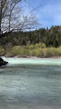 Alman-Avusturya sınırındaki Neuschwanstein Şatosu yakınlarındaki bir ormanı geçerek, ön planda bir ağaç dalı bulunan, sakin, açık mavi bir nehrin geniş bir görüntüsü..