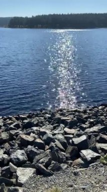 Bir gölün veya rezervuarın derin mavi suyuyla çelişen kayalık bir kıyı şeridinin yakından görüntüsü, dalgaların üzerinde ışıldayan güneş ve Almanya 'nın Vogtland kentinde uzak bir orman kıyısında parlıyor..