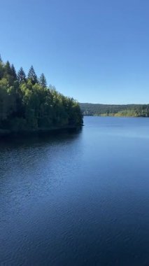 A serene wide shot of a deep blue lake or reservoir with a lush, dark green forested shoreline receding into the distance under a clear, bright blue sky in the Vogtland region of Germany.