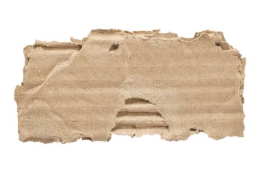 Kırışmış ve yırtılmış desenli kahverengi karton beyaz arka planda izole