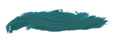 Turkuaz fırça beyaz arkaplanda izole edilmiş. Koyu yeşil çalı.