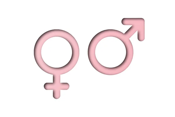 ピンクの紙は 男性と女性のシンボルの形にカット 白い背景に隔離され — ストック写真