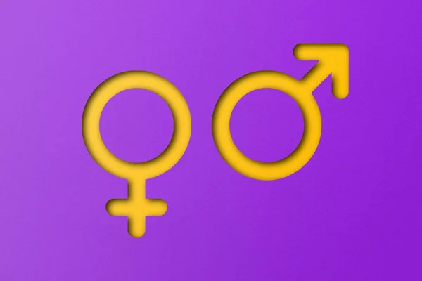 黄色的纸被切割成象征男性和女性的形状 设置在紫色背景上 — 图库照片