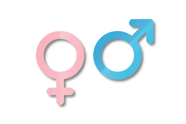 浅蓝色和粉红色的纸被切割成男性和女性的符号形状 在白色背景下隔离 — 图库照片