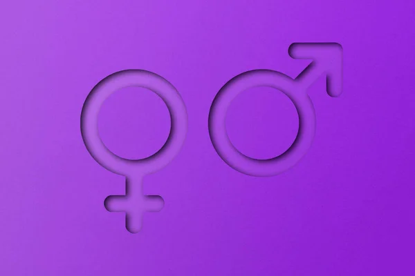 Фиолетовая Бумага Разрезанная Формы Символизирующие Самцов Самок Фиолетовом Фоне — стоковое фото