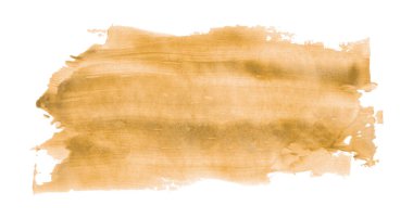 Turuncu fırça beyaz arkaplanda izole edilmiş. Altın kayısı rengi