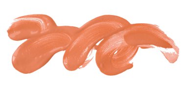 Turuncu fırça beyaz arkaplanda izole edilmiş. Altın kayısı rengi