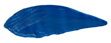 Mavi fırça beyaz arkaplanda izole edilmiş. Suluboya