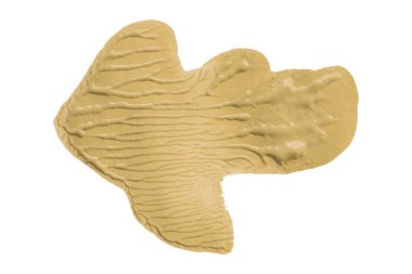 Açık kahverengi fırça beyaz arkaplanda izole edilmiş. Suluboya