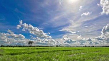 Zaman atlamalı ekinler ve akan gökyüzü