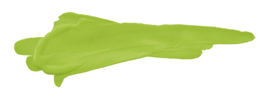 yeşil fırça şeffaf arkaplanda izole edildi