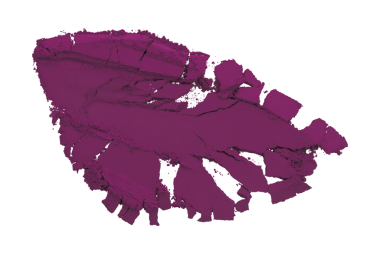 Şeffaf arkaplanda koyu mor toz izole edilmiş.