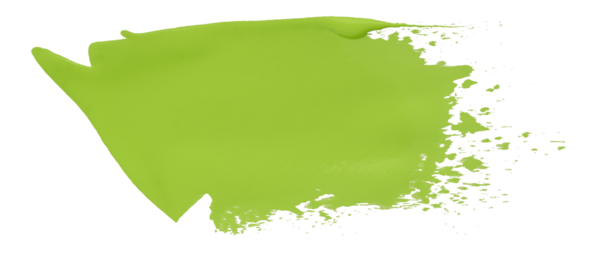 yeşil fırça şeffaf arkaplanda izole edildi