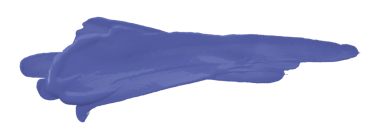 şeffaf arkaplanda izole edilmiş mor fırça