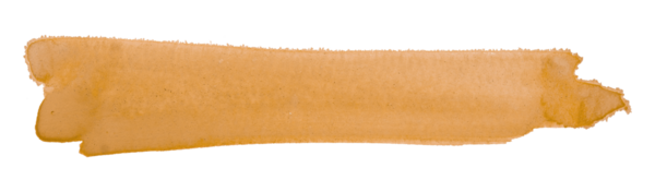 turuncu fırça şeffaf arkaplanda izole