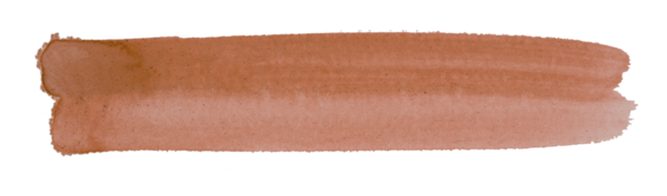 kahverengi fırça şeffaf arkaplanda izole edildi