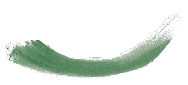 yeşil fırça şeffaf arkaplanda izole edildi