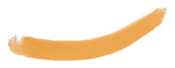 turuncu fırça şeffaf arkaplanda izole