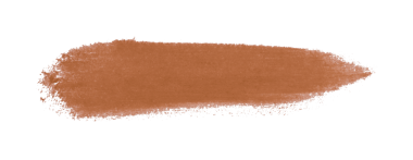 kahverengi fırça şeffaf arkaplanda izole edildi