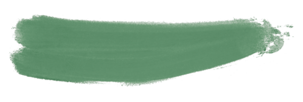 yeşil fırça şeffaf arkaplanda izole edildi