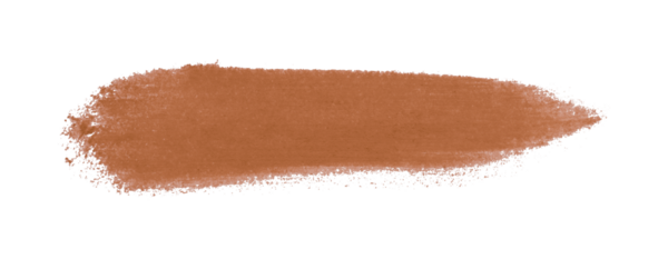 kahverengi fırça şeffaf arkaplanda izole edildi