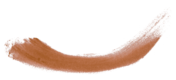 kahverengi fırça şeffaf arkaplanda izole edildi