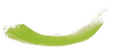 yeşil fırça şeffaf arkaplanda izole edildi