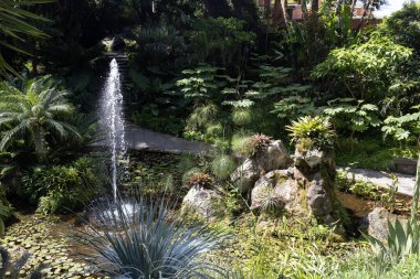 Forio d 'Ischia (Napoli), İtalya - 14 Nisan 2024. La Mortella, Ischia Adası 'nda bir astropikal ve Akdeniz bahçesidir.