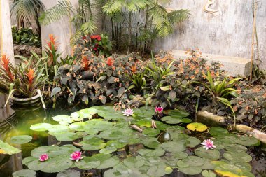 Forio d 'Ischia (Napoli), İtalya - 14 Nisan 2024. La Mortella, Ischia Adası 'nda bir astropikal ve Akdeniz bahçesidir.