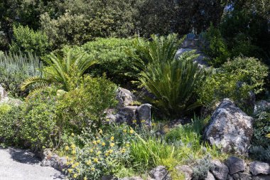 Forio d 'Ischia (Napoli), İtalya - 14 Nisan 2024. La Mortella, Ischia Adası 'nda bir astropikal ve Akdeniz bahçesidir.