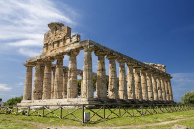 Paestum (Salerno), İtalya. 10 Mayıs 2024 - Athena Tapınağı Paestum Arkeoloji Parkı 'ndaki Magna Graecia' nın bir Yunan tapınağıdır.