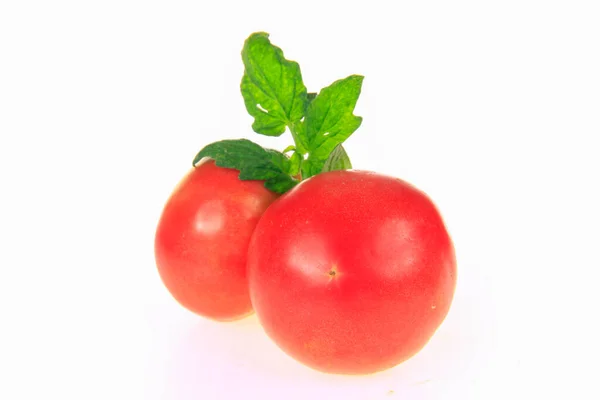 Pomidory Izolowane Białym Tle — Zdjęcie stockowe