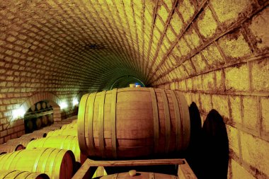 Tahta Varilli Şarap Mahzeni