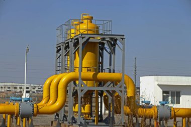 Armut çiçeği, mavi gökyüzünün arka planı.