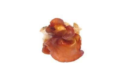 beyaz zemin üzerine siyah mantar