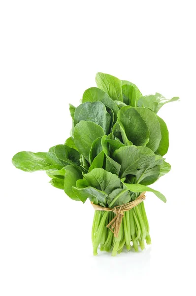 Zeleninové Zelí Bílém Pozadí — Stock fotografie