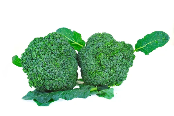 Zeleninová Brokolice Bílém Pozadí — Stock fotografie