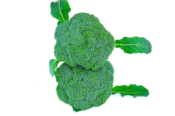 Grönsaker Broccoli Vit Bakgrund — Stockfoto