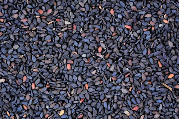 Black Sesame Seeds White Background — Stock Photo, Image