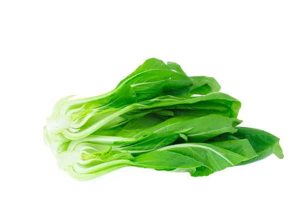 Chinese Cabbage White Background — Stock Photo, Image