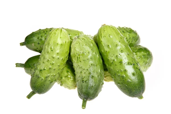 Fresh Cucumber Isolation White Backgroun — Stock Photo, Image