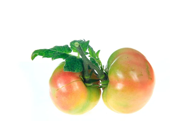 Pomidory Izolowane Białym Tle — Zdjęcie stockowe