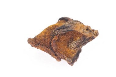 Mantarın beyaz arka planı