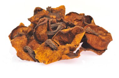 Mantarın beyaz arka planı